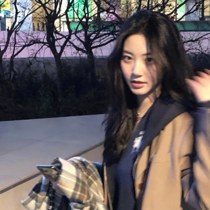 她的玫瑰藏着刀